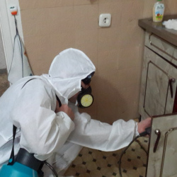 Дезинфекция от муравьев в квартире в Усть-Илимске