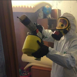 Уничтожение клопов в квартире. Усть-Илимск